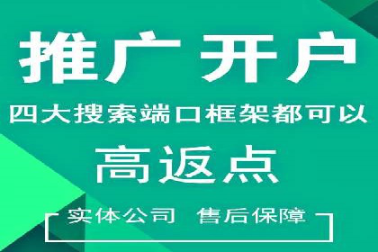 竞价推广公司案例分析：成功案例解析